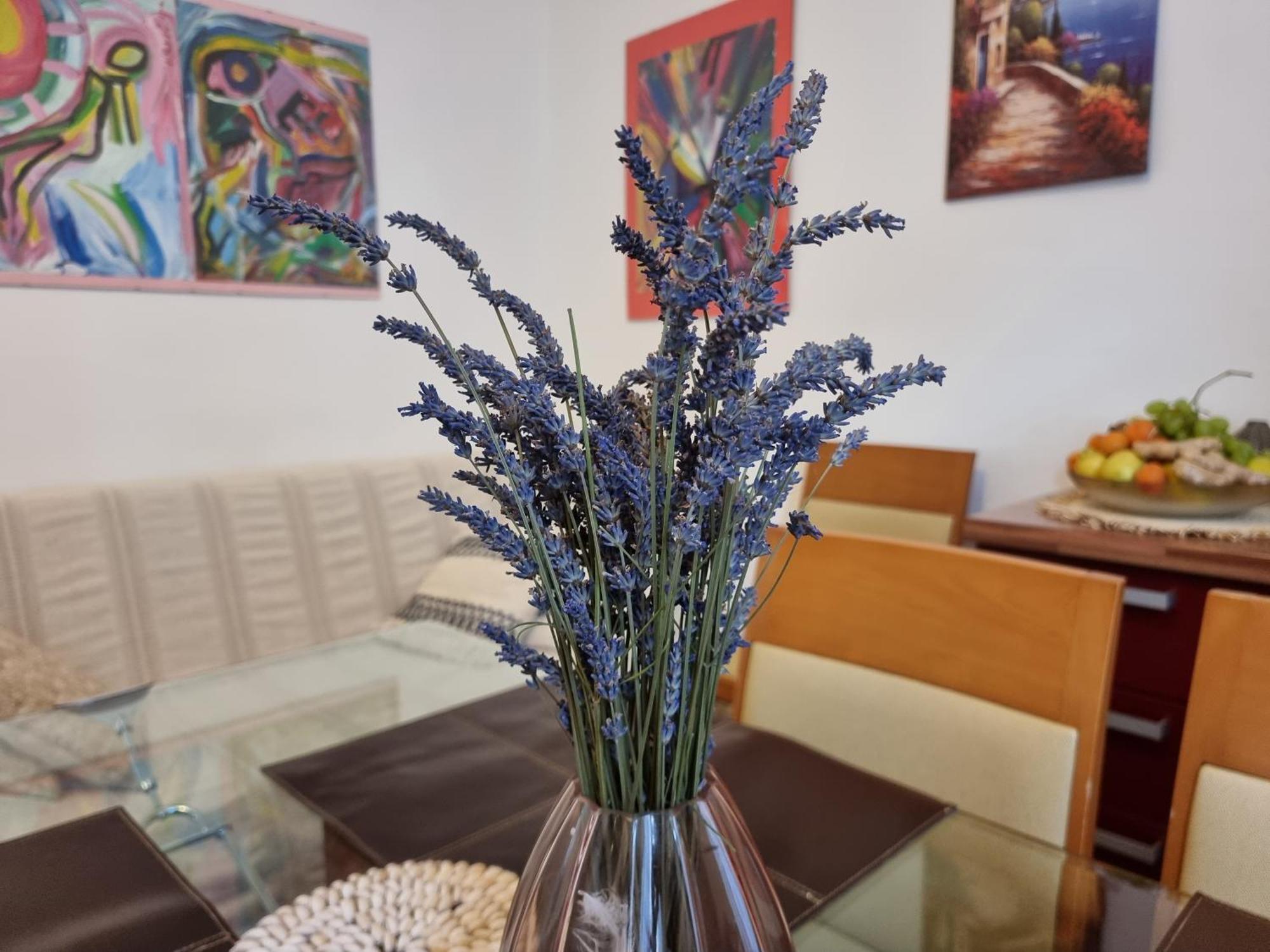 ***Apartment Magic &Summervibes*** Риека Экстерьер фото