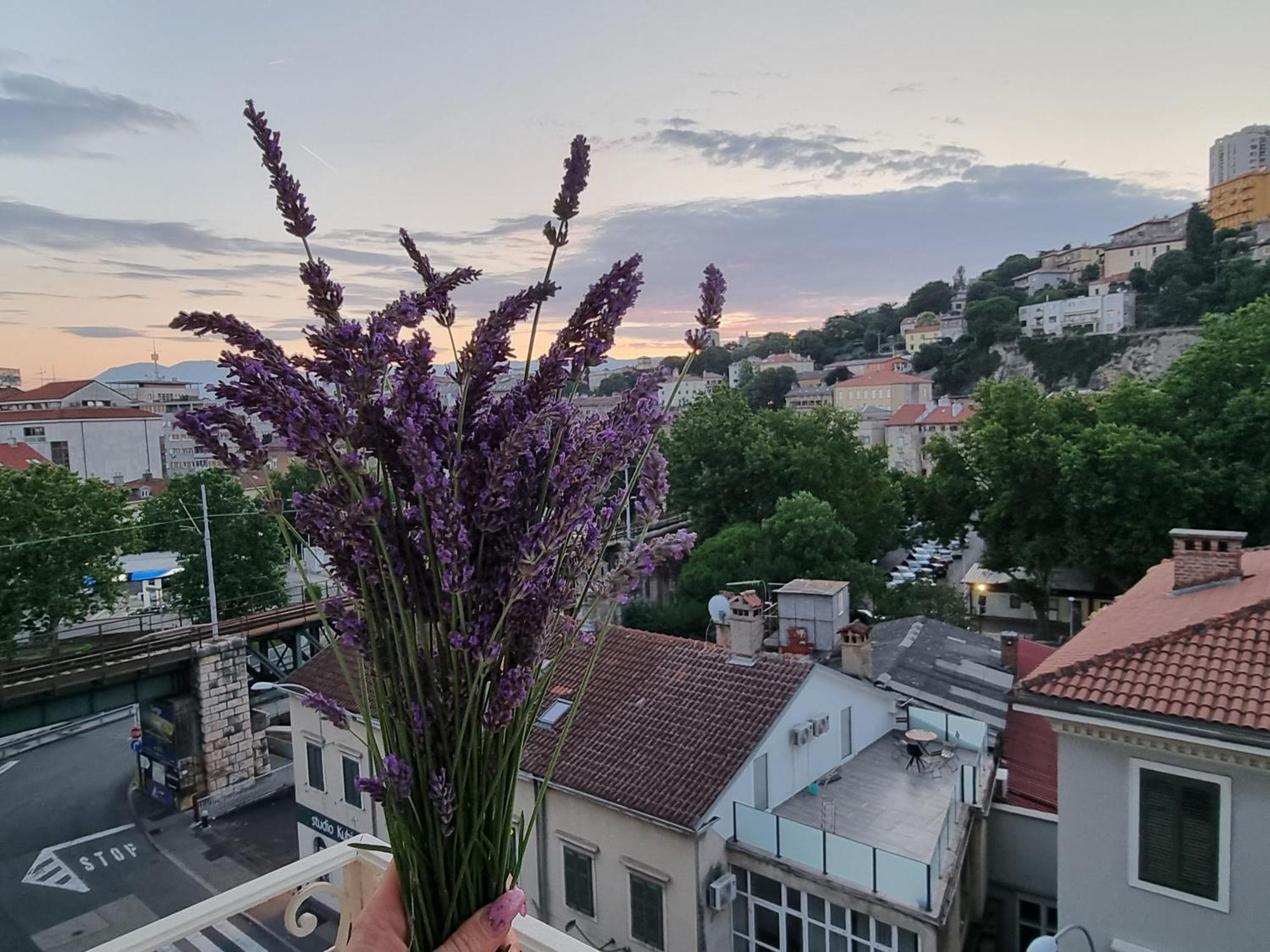 ***Apartment Magic &Summervibes*** Риека Экстерьер фото
